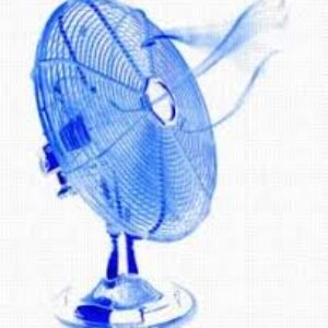 Profile photo of coolbreeze
